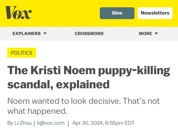 Screenshot of a Vox.com article headline:

The Kristi Noem puppy-killing scandal, explained

Noem wanted to look decisive. That's not
what happened.

The URL slug is “kristi-noem-puppy-killing-book-trump-vp” which probably isn’t a good look, either