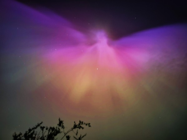 The aurora running from purples at the top to greens. It seems to be in the shape of a spread-winged angel.