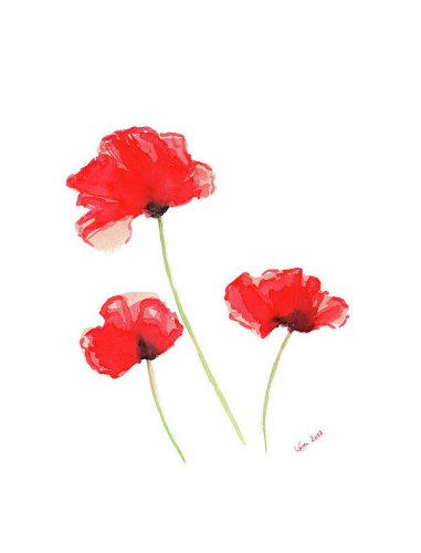 Three Red Poppies is a minimalist watercolor painting in portrait format painted by the artist Karen Kaspar. On a white background, three beautiful delicate poppies in bright red tones sway in the summer wind.