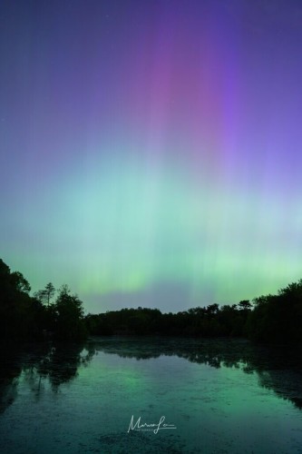 The Northern lights from NY reflected off a pond