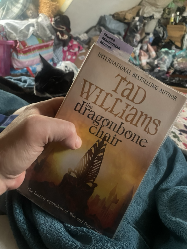 A copy of Tad Williams’s ‘The Dragonbone Chair’, with part of a small cat in the background 