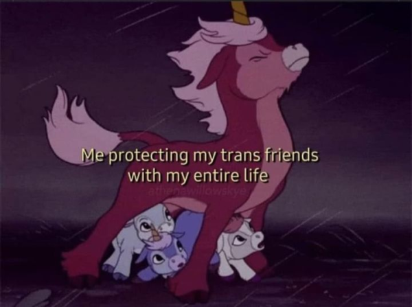 me protecting my trans friends with my entire life.