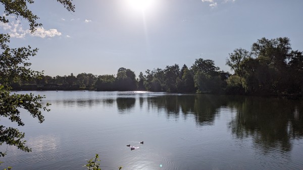 Foto auf den Kupfersee, Hamburg. Die Bäume am gegenüberliegenden Ufer spiegeln sich im Wasser. Im Vordergrund schwimmen drei Enten im Wasser. Hellblauer Himmer.