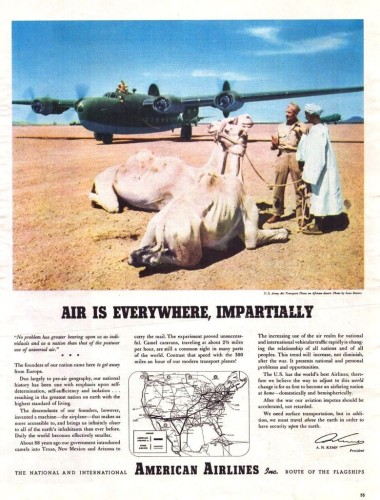 Large ww2 former bomber with two camels sitting in sand in front. 