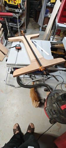 Orange tabby cat looks up at me as I ponder the pedestal under construction lying atop the table saw.