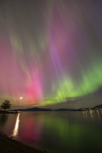 aurora borealis over a bay, seen from the beach. columns of green, purple, and dark red are visible, as well as the moon. they all have their shine reflected by the water
