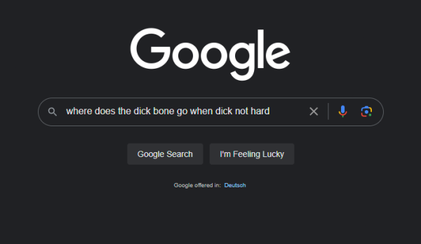 A google searc for the phrase "where does the dick bone go when the dick's not hard?"