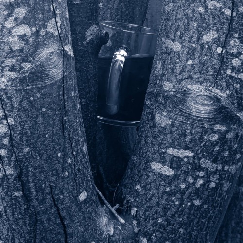 A tree with a mug lodged in the middle. Uses a blue-ish duotone effect.