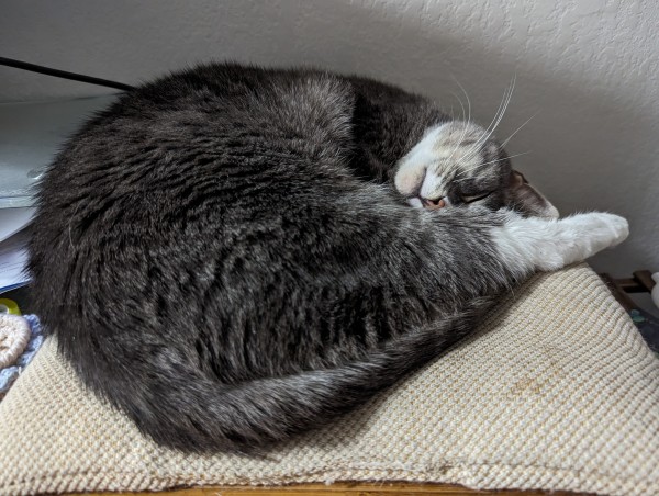 A gray and white tabby cat sleeping all curled up on a pillow. He is in shrimp mode, with his back leg sticking out. In the middle, his little pink nose is poking out.