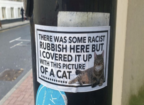A picture of a poster on a utility pole. The poster has a picture of a reclining cat and reads, "There was some racist rubish here but I covered it up with this picture of a cat."