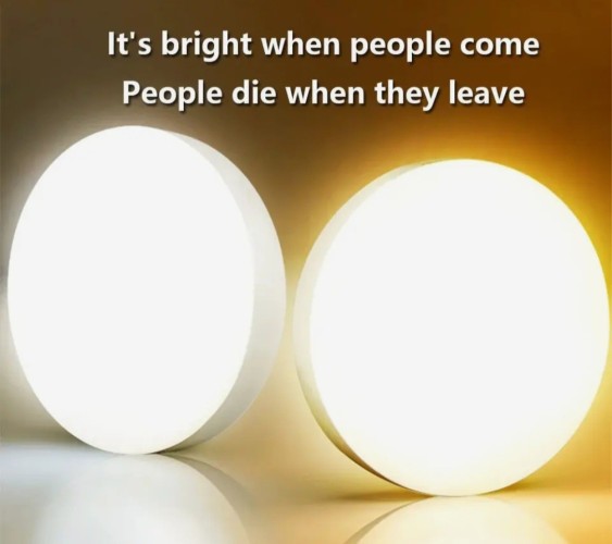 Add on Ali Express for motion controlled lights that says "it's bright when people come, People die when they leave"