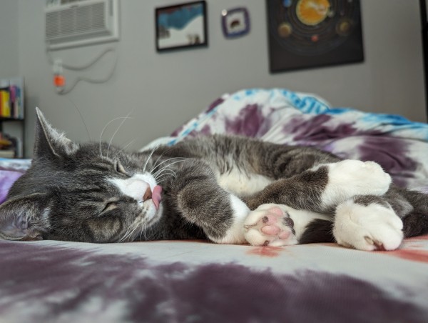 A gray and white tabby cat splayed out on tie dyed bedsheets. His legs are all tangled with each other and his tail. One paw is showing its little pink toe beans. And he's licking his nose.