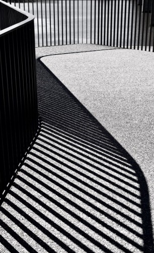 Black and white image of curved shadows made by a metal fence and railing.
