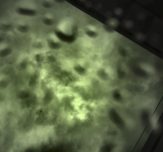 Screenshot vom Monitor:
Das Kamerabild zeigt einen grau-grün verregneten Wolkenhimmel. 
Das grüne im Bild kommt wegen der infrarot-empfindlichen Kamera.
Auch siehst du Regentropfen auf der Acryl-Kuppel, die ich über die Kamera gesetzt habe.
Und etwas von meiner Hauswand ist noch zu sehen.