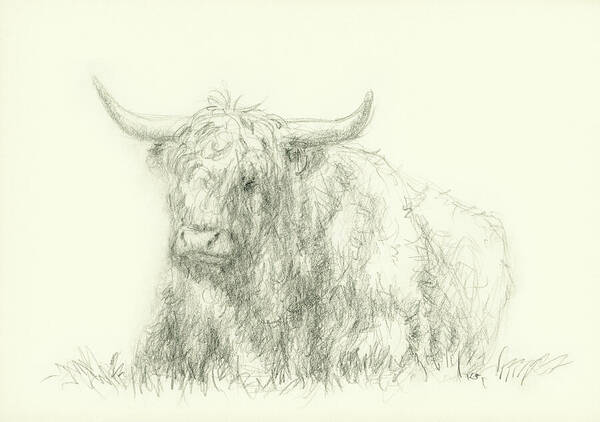 Resting Highland Cattle is a detailed pencil drawing showing a shaggy Highland cattle with distinctive horns and the typical long-haired pony over its eyes, resting in a meadow. The bull is relaxed and calmly lookes ahead. The artwork captures the texture of the cow's coat and the calm facial expression with fine pencil strokes.