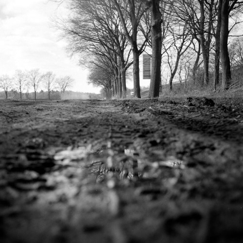 Analogue black and white picture of trees reflecting in the water on a dirt track. The trees are on the right of the frame. In the foreground there is some water and mud.
