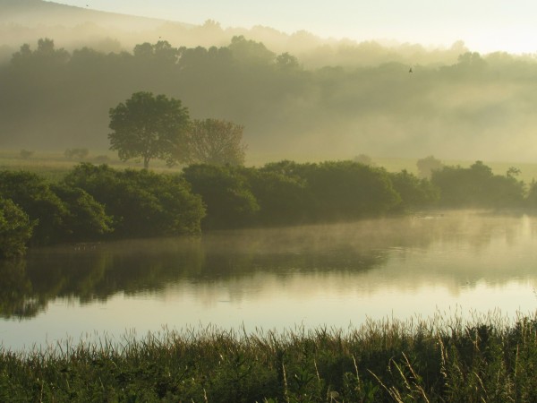 Photograph of an early morning scene showing a pond surrounded by lush greenery. There is a fog upon the countryside. In the foreground are grasses and across the pond are shrubs, which are reflected on the water. Further back are trees and beyond them a ridge and the sky.