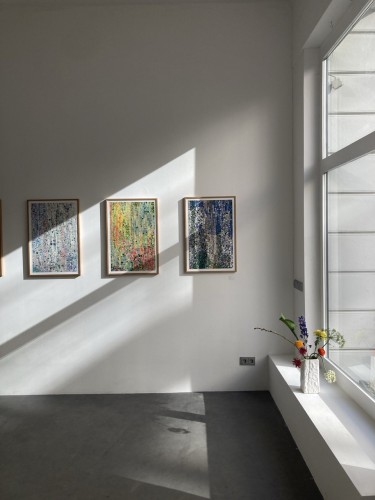 Three artworks on a white wall in a gallery space. Sunlight is entering the room through the streetside windows. 