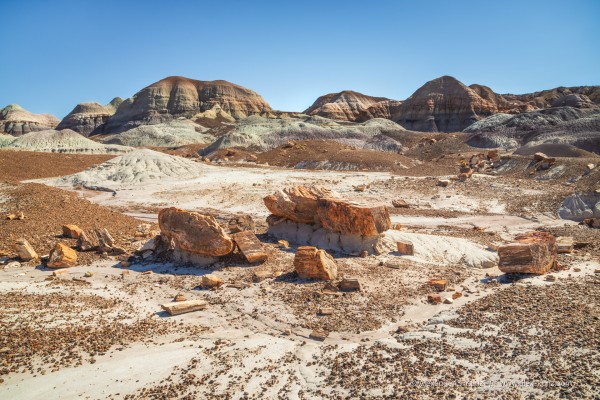 A landscape photo showing an alien-looking desert landscape. In the foreground, orange chunks of petrified rocks are strewn on barren soil covered with pebbles. Further back, rounded and eroded mud hills with colors ranging from orange over turquoise into purple contrast with a clear blue sky.
