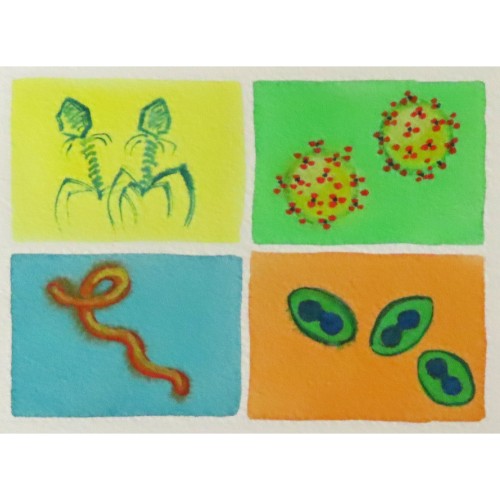 watercolor of 4 viruses in bright colors