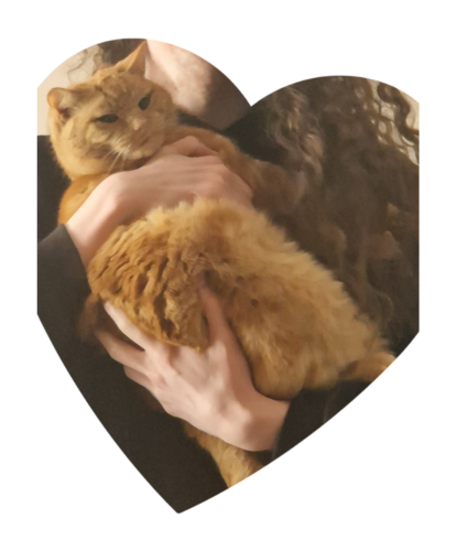 A heart-shaped photograph of Colin, an orange cat, in a human's arms. His eyes are glaring through slits, his ears are forward and he does not look comfortable at all.