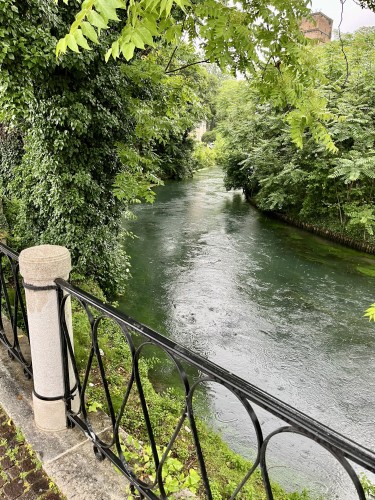 A river in northern Italy, past a railing, surrounded by very green trees, in the rain