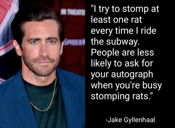 "I try to stomp at least one rat every time I ride the subway. People are less likely to ask for your autograph when you're busy stomping rats."
-Jake Gyllenhaal