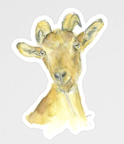 Sticker featuring my painting Curious goat - a watercolor painting in portrait format painted by the artist Karen Kaspar.
The head with horns and part of the upper body of a goat with brown fur is painted on a white background. The animal looks towards the viewer in an interested and friendly manner. The image is painted with loose brushstrokes and transparent layers of watercolor paint.