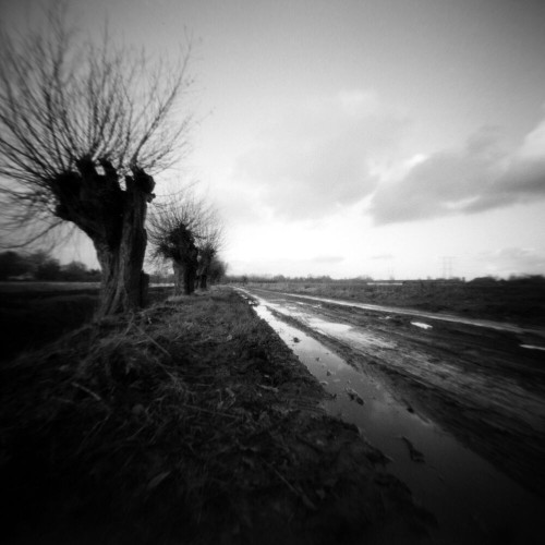 Analogue black and white pinhole picture of a dirt track after the rain. On the left a row of willows can be seen. On the right side of the frame the sky and clouds are reflected in water.