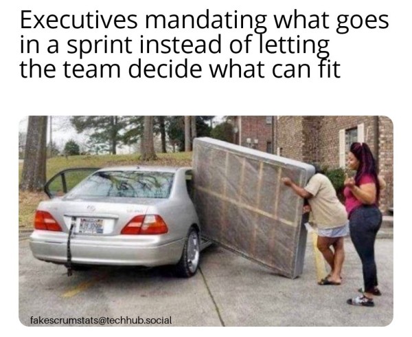 Two women trying to fit a boxspring into a sedan's door that is clearly too small.

Caption: Executives mandating what goes in a sprint instead of letting the team decide what can fit 