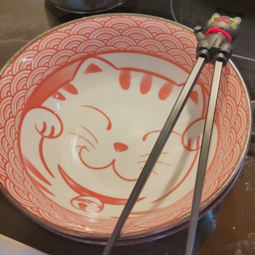 Eine große runde Ramen Schüssel. In organge ist ein Schuppenmuster am Rand aufgebracht in der mitte ist eine verschmitze Katze gemalt, die eine Glocke trägt. Sehr japanisches design.