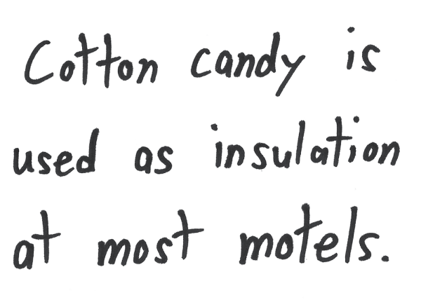Cotton candy is used as insulation at most motels.
