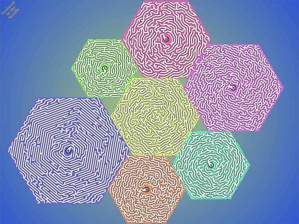 A maze of twisty paths through seven large adjacent hexagons with two pairs of portals.