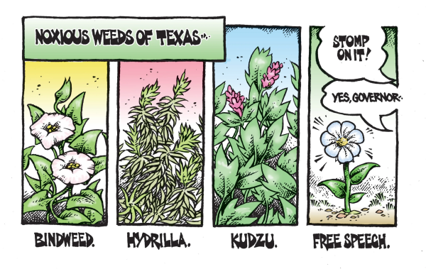 A cartoon illustrating “Noxious Weeds of Texas.” In the first panel, Bindweed, with triangular leaves and large round white flowers. Then, Hydrilla, with lots of spiky green leaves. In the third panel, Kudzu, large spiky ended leaves with pink flowers. In the final panel, labeled “Free Speech,” a single white flower grows from the bare earth. One speech bubble reads “Stomp on it!” while another responds, “Yes, Governor—”