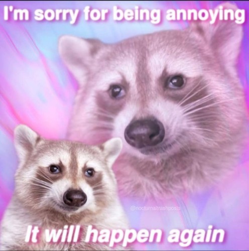 Meme showing a portrait of a raccoon, in that weird 80's portrait-with-yourself style, with the raccoon in a slightly different pose (really just image-flipped in this case) superimposed and slightly transparent behind the main photo. The background also has pink, purple and teal tones, and the text says "I'm sorry for being annoying. It will happen again."