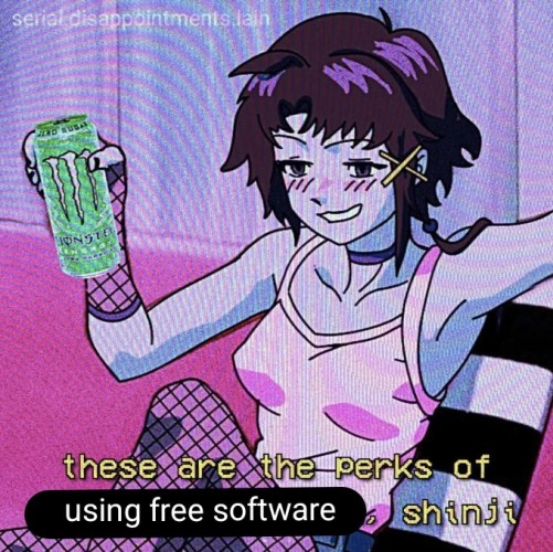 An anime girl in a tank top, fishnets, and striped gloves holding a green Monster Energy. The caption reads "these are the perks of using free software, shinji"