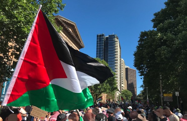 Photo from one of the weekly Stop the Genocide in Gaza marches on Gadigal land (Sydney, Australia). Held every weekend since the most recent escalation began in October 2023. Identifiable faces blurred. Features a variety of protest signs and various flags, predominantly Palestinian.