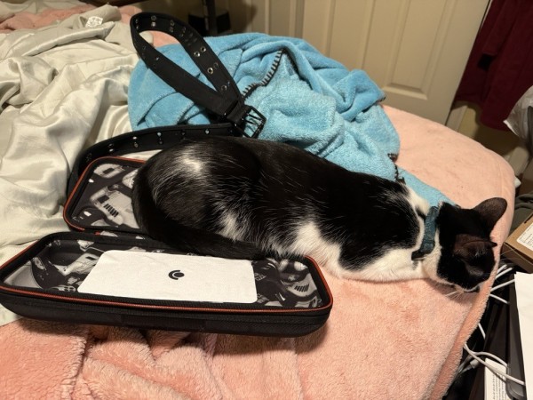 Tuxedo cat sleeping partially in the case for a Steam Deck OLED