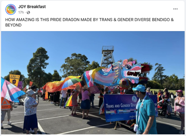 A huge traditional Chinese dragon with long swathes of brightly coloured fabric suspended over hoops carried by dancers. The head of the dragon is suitably fierce and coloured pink and blue — the trans pride flag colours. It's a sunny day in Bendigo and people are taking photos and enjoying the shade under the dragon.