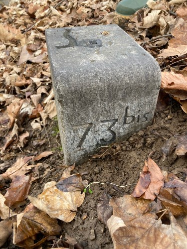 A small almost buried border stone numbered 73bis on one side, indicating that from here the border follows the middle of the stream. 73 is on the other (Swiss) bank, substantially larger on next photo.