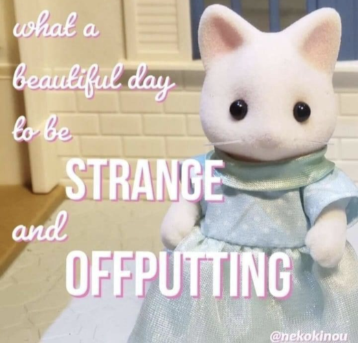 Picture of a... Cat? Figurine/doll wearing a dress with text that says "what a beautiful day to be STRANGE and OFFPUTTING"