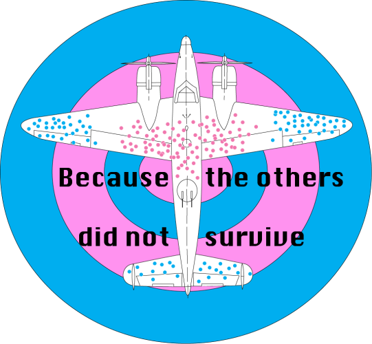 Survivorship bias plane overlaid on a Trans colored target, with the bullet holes in Trans colors. The wording around the plane reads "Because the others did not survive."