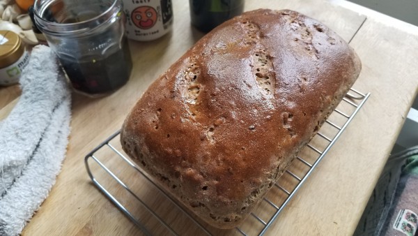 Shiny loaf of seeded bread on cooling rack