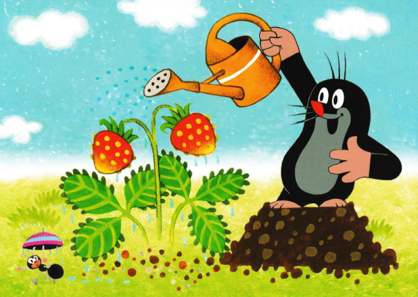 A still picture from the Czech cartoon series Krteček (the little mole) from 1957.

He is smiling whilst watering strawberries in the garden.

An ant with an umbrella is about to run away.