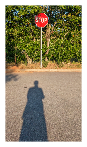 before sunset. my elongated shadow is cast onto asphalt and points to a STOP sign on grass, behind a curb with shrubbery behind it.