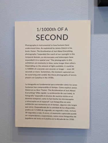 A sign describing the speed of photography and its meaning, quoting James Gleick's excellent book FASTER. Displayed in the photo gallery of the Catalina Island Museum.