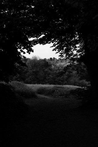 A monochrome photo of a path exiting a forest, framed by tree foliage, leading into a meadow with forested hills in the background. (CC BY 4.0)