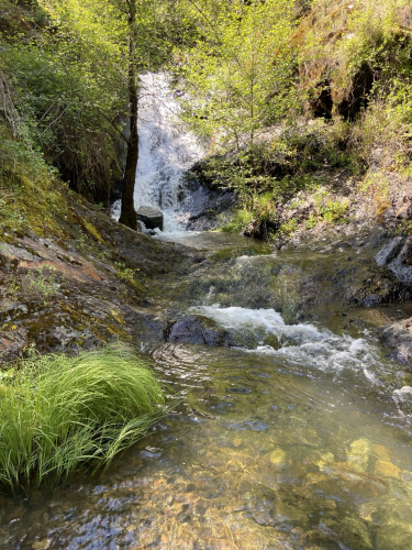 A creek with a cascade in the background and green foliage. 
