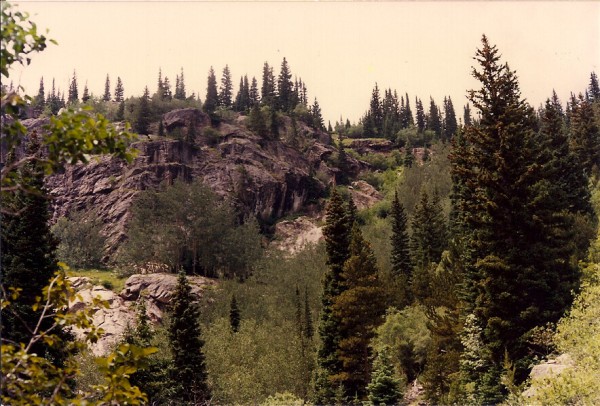 A landscape image. The terrain is rough. The central part of the image is a cliff with steep rocky ledges. The top of the cliff hosts some tall dark spruce trees. The area closest to the photographer is filled with different kinds of vegetation, mainly a few dark spruce trees and and some lighter green vegetation. The leftmost vegetation shows a few thin branches with yellowish green leaves. The sky is white and it may be overcast or perhaps it is an artifact of the image.