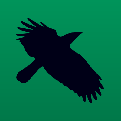 The black (flying) raven on a green background that I use as the website favicon and my avatar on Fedi.